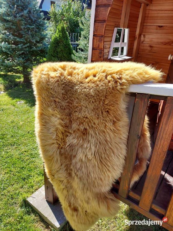 Skóra Owcza Dywan Narzuta Kolor CAMEL Skóra Szaflary
