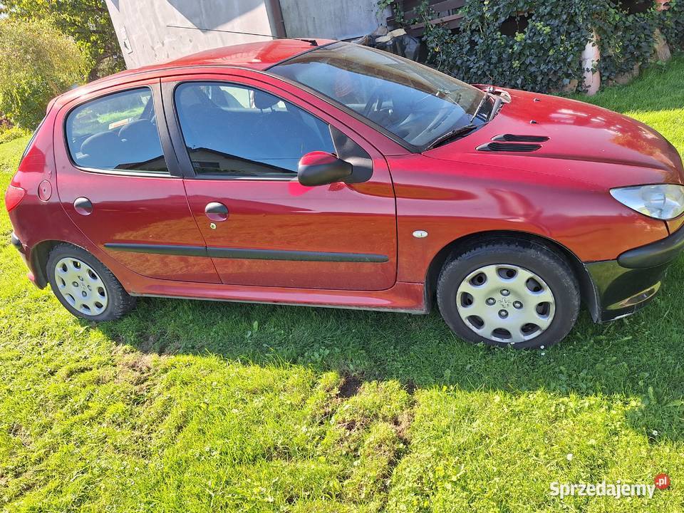 Peugeot 206 206 Lichwin