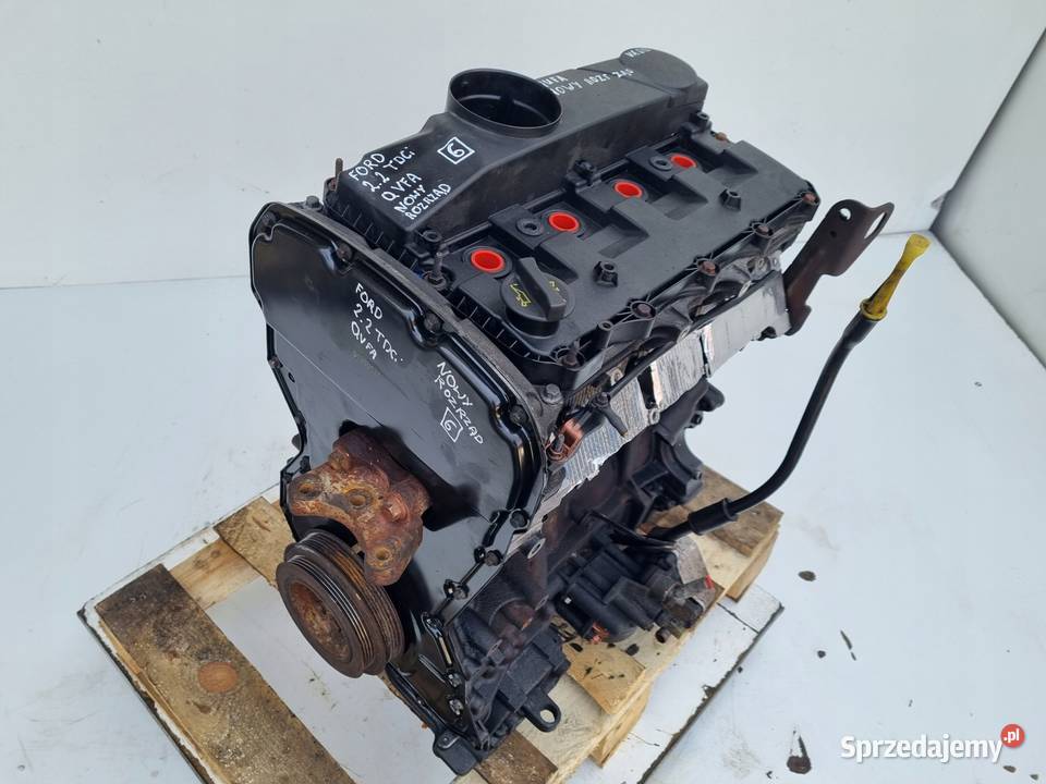 SILNIK SERWISIE Ford Transit VII MK7 22 TDCI 110 lubelskie Rudka