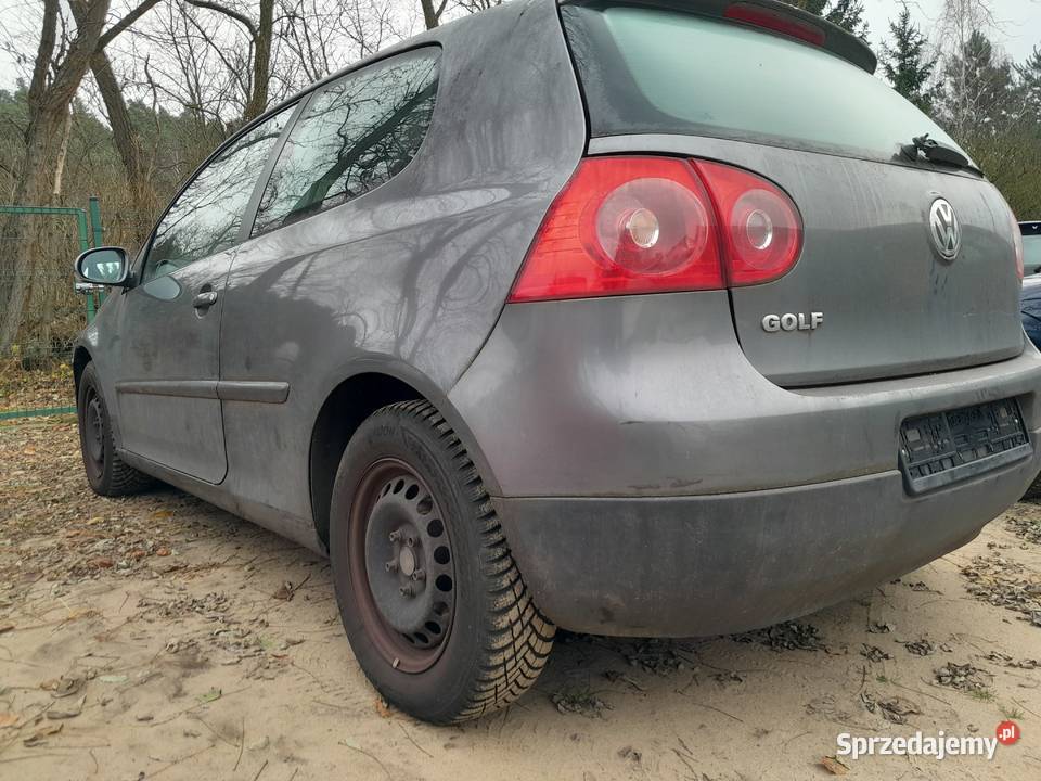 VW GOLF V 14 16V 04r z de 3drzwi BCA LA7T 1390cm3 wielkopolskie Wronki