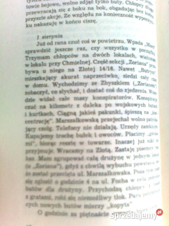Dziennik powstańcaZbigniew CzajkowskiDębczyński historia, archeologia Warszawa