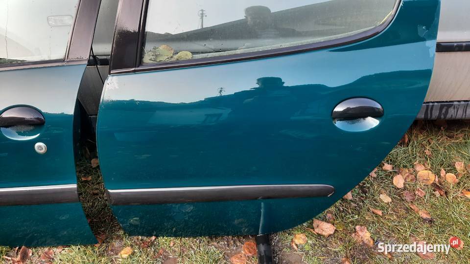 drzwi lewe przód tył peugeot 206 KRG dolnośląskie