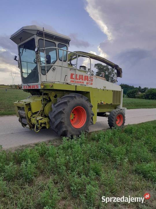 Claas Jaguar 690 sl 695 mega sieczkarnia do Licheń Stary