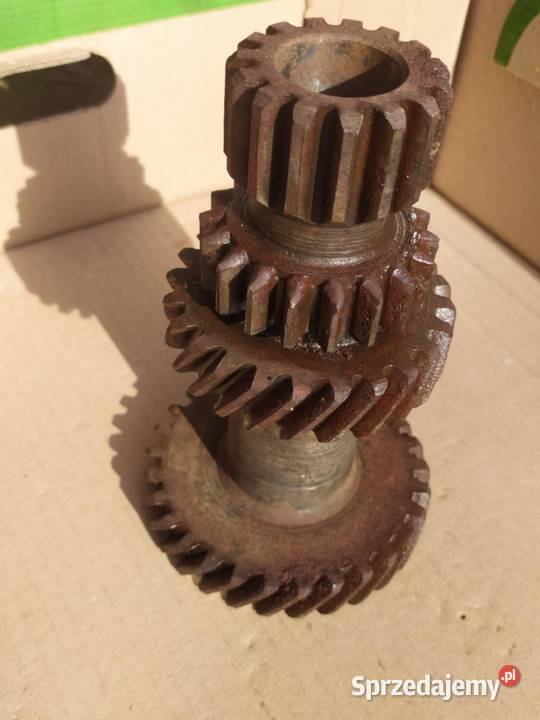 Koło zębate choinkaoryginał osobowe Pszczółki