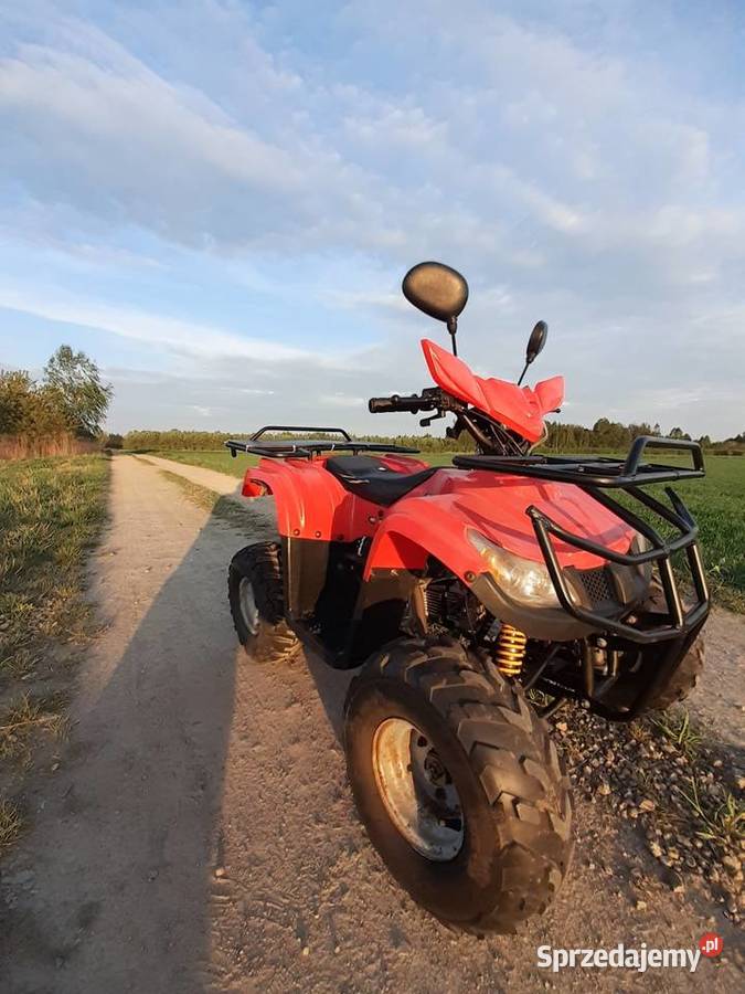 Quad ATV 125 11