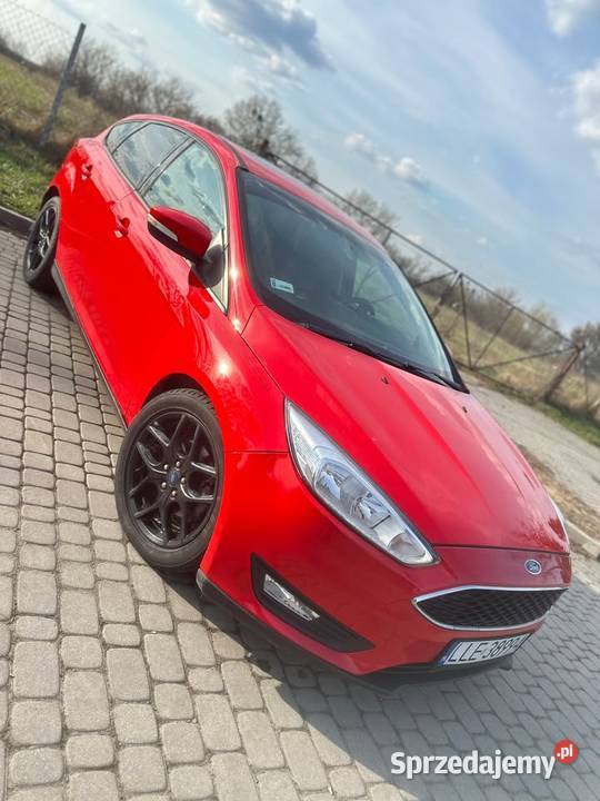 Ford Focus 20 Automat 2016 Bogata wersja Okazja Zarejestrowany w Polsce Łęczna
