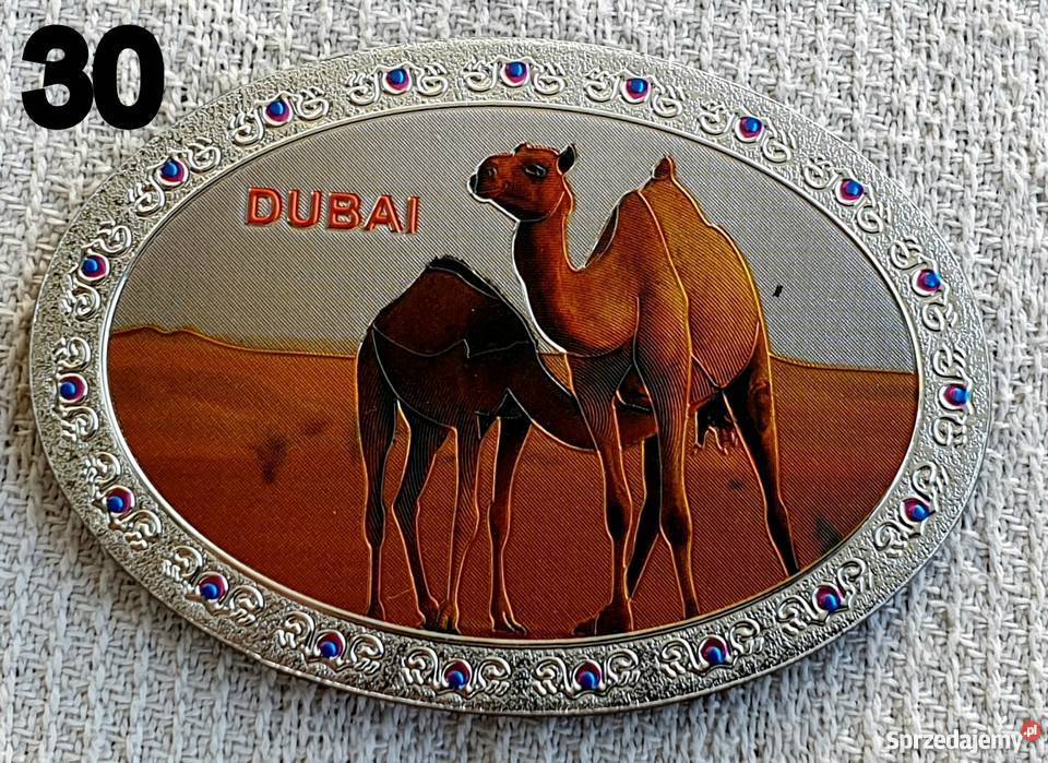 Magnes magnez na lodówkę ZEAUAEDubajEmiraty Kobyłka