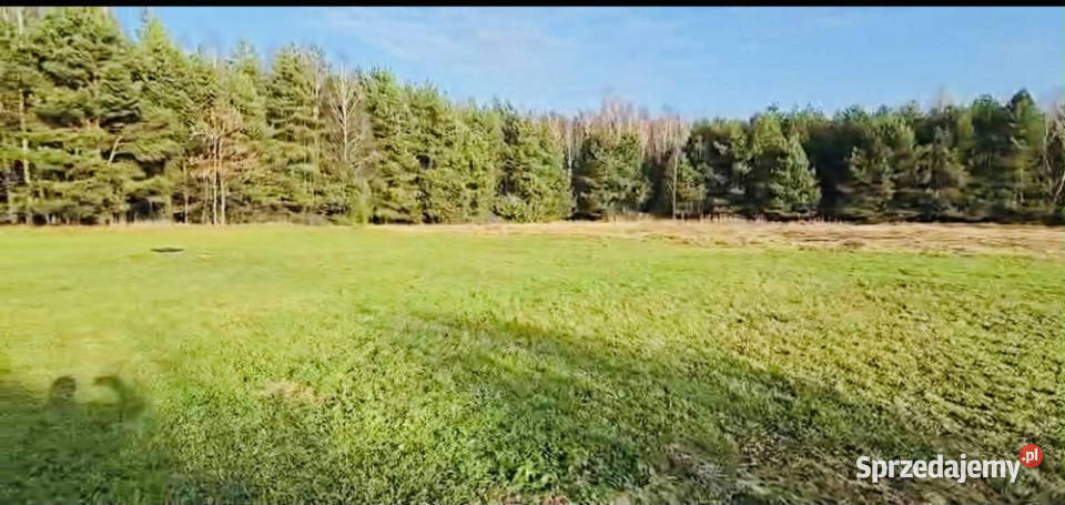 Dom siedlisko posiadłość wolnostojący Kolonia Piaski