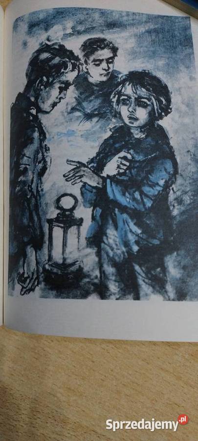 Chłopcy z placu broni Ferenc Molnar miękka Lublin