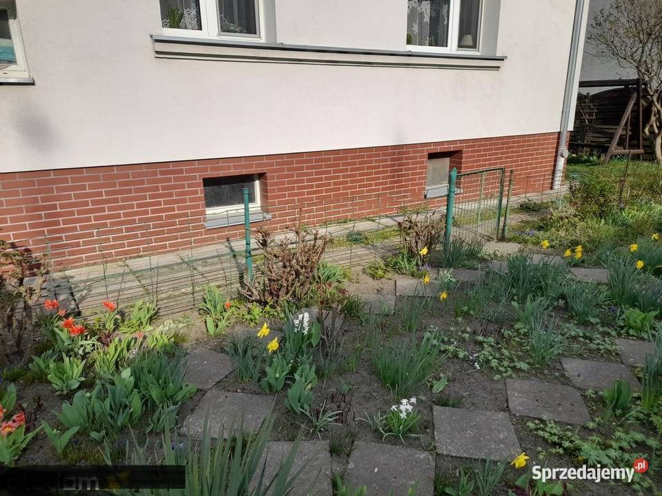 2pok 46met Żmigrodzkiej PIWNICAOGRÓDGARAŻ Liczba pokoi 2 Wrocław