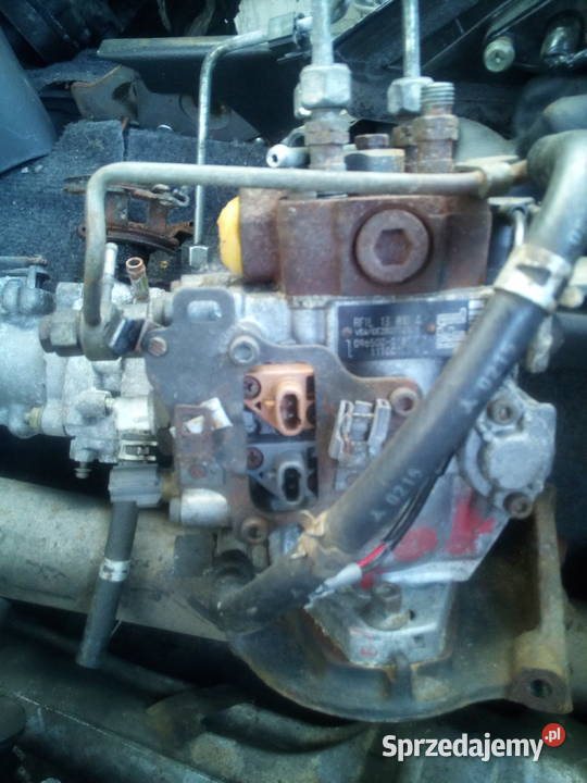 Grand Vitara na części Słońsk