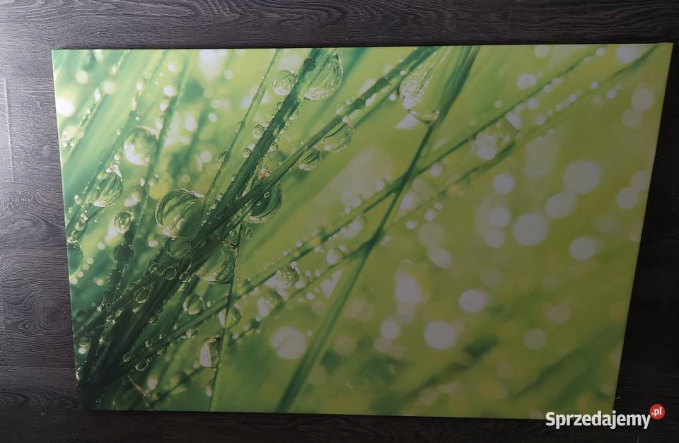 Duży obraz grafika do salonu unikat Warszawa
