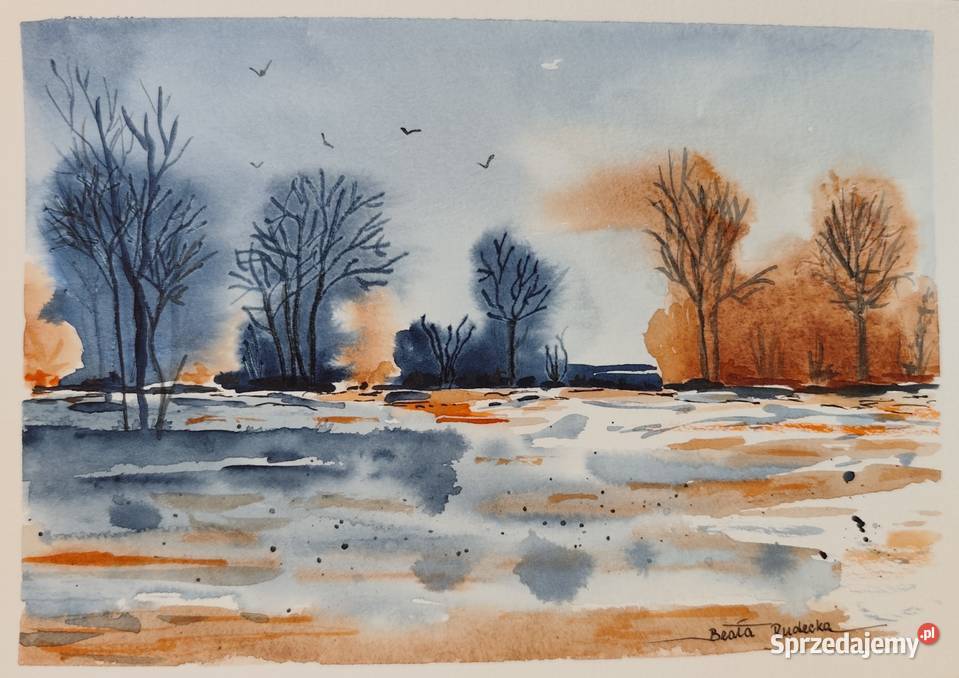 Akwarela Akwarelka Obraz pt Zwiastun