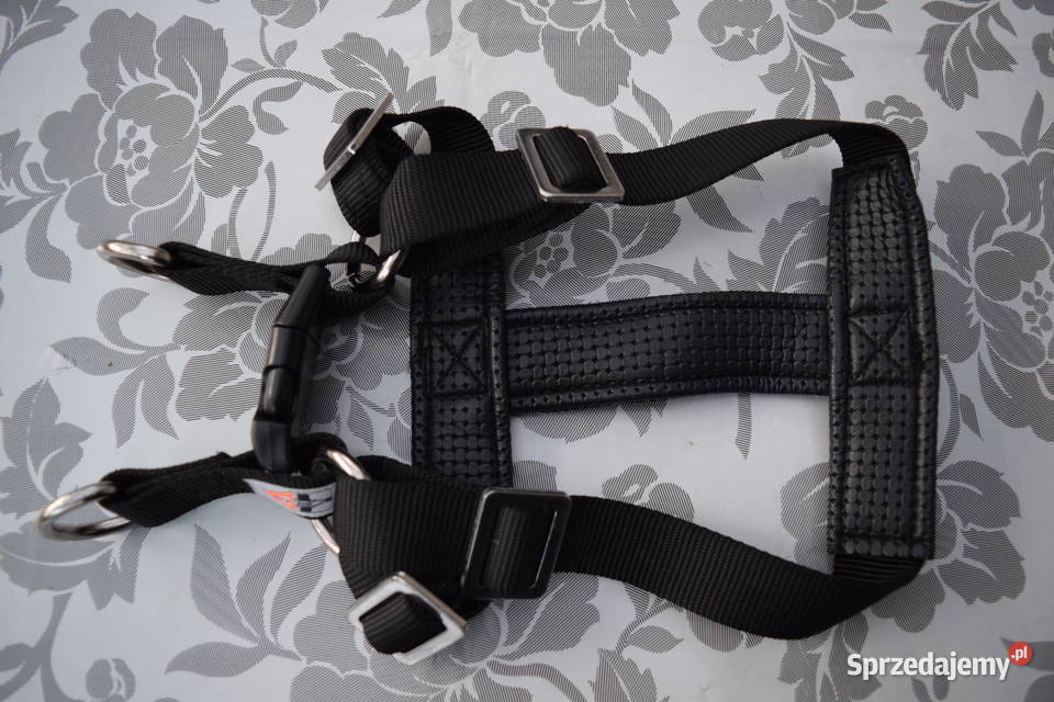 Szelki Psa Nowe Solidne Rozmiar S Okazja Olsztyn