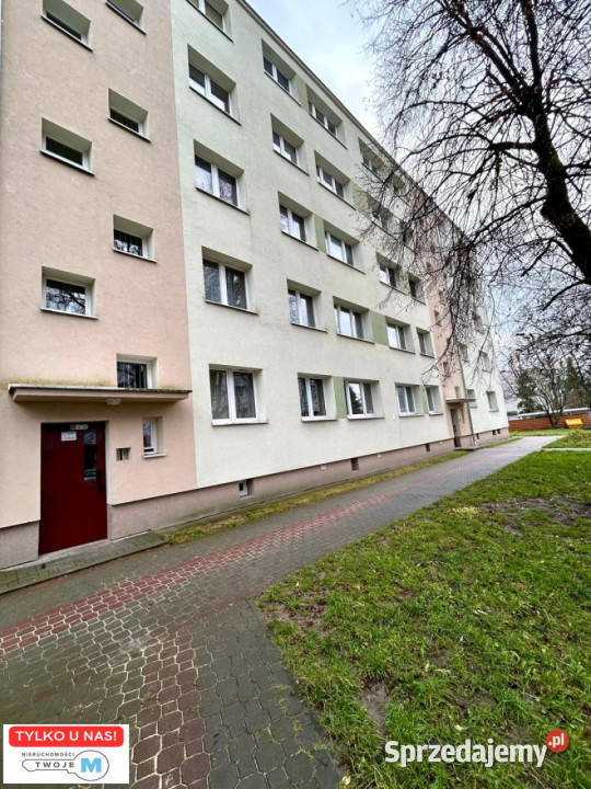 Mieszkanie Kielce 252m2 1pokojowe sprzedam