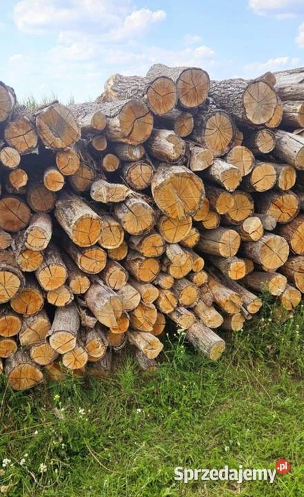 Drewno kominkowe Drzewo opalowe Dąb Fakvat Borek Wielkopolski sprzedam