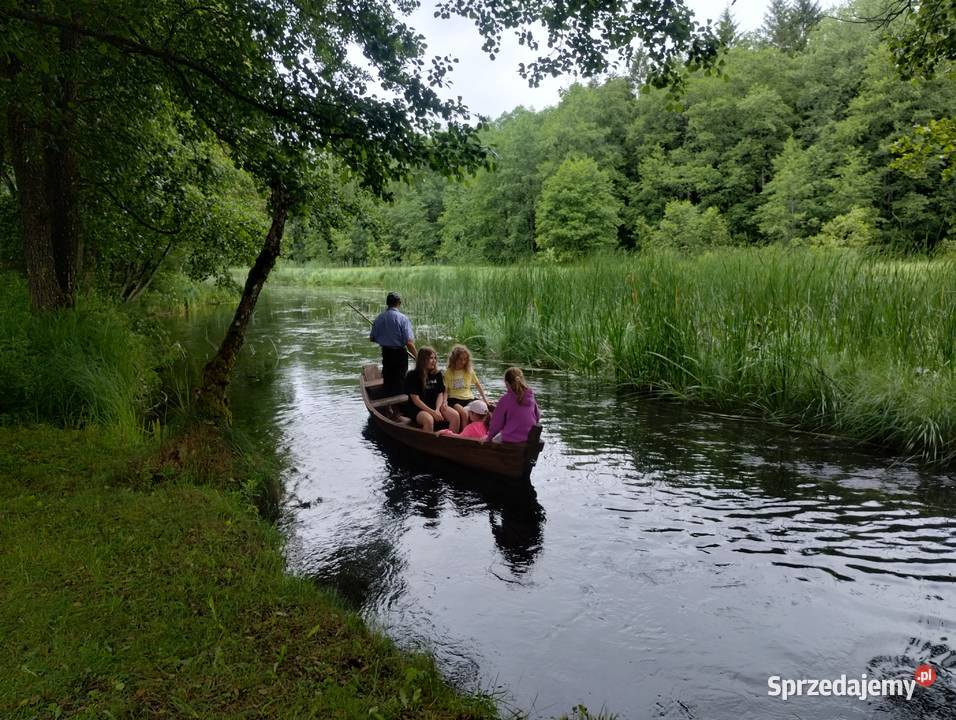 Offline camp noclegi pod gwiazdami mazowieckie