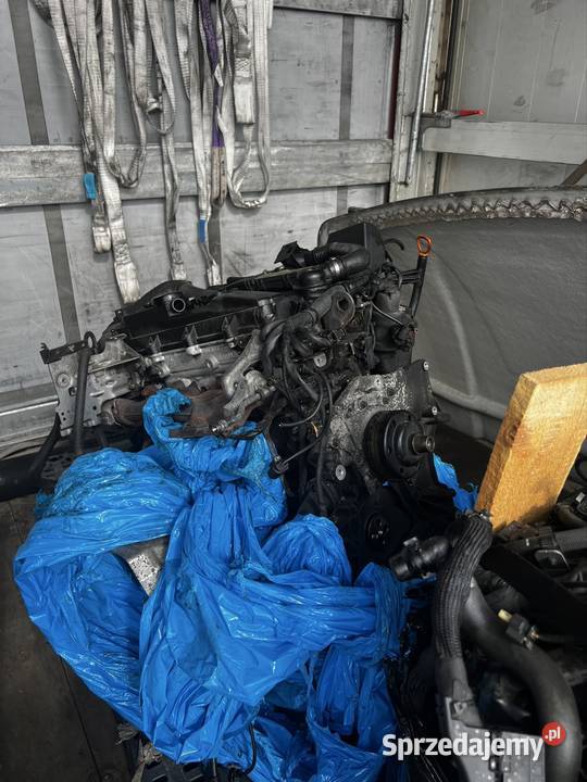 Silniki Mercedes 651 Luboń