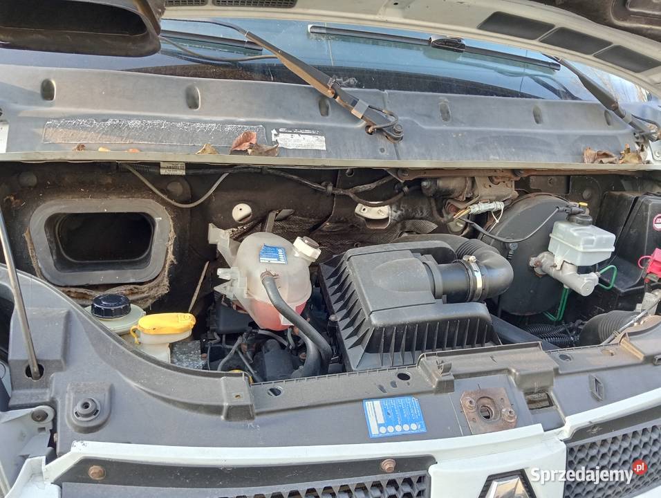 Renault Master Bogatynia