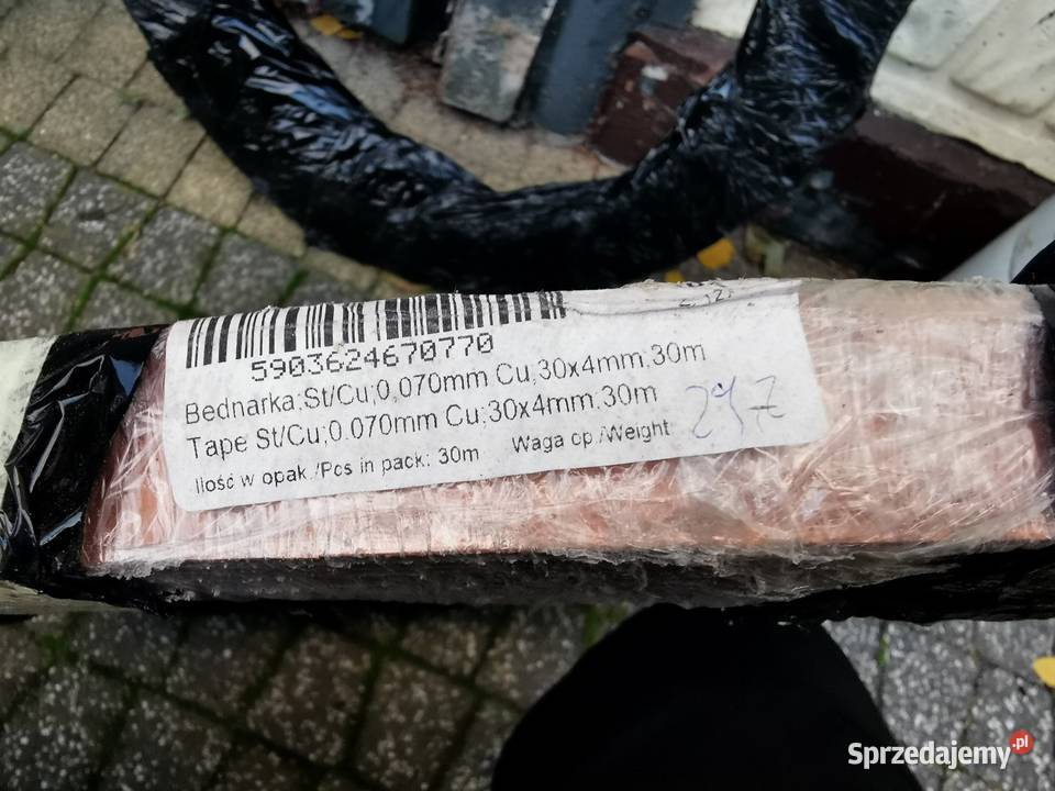 Bednarka pomiedziowana mazowieckie