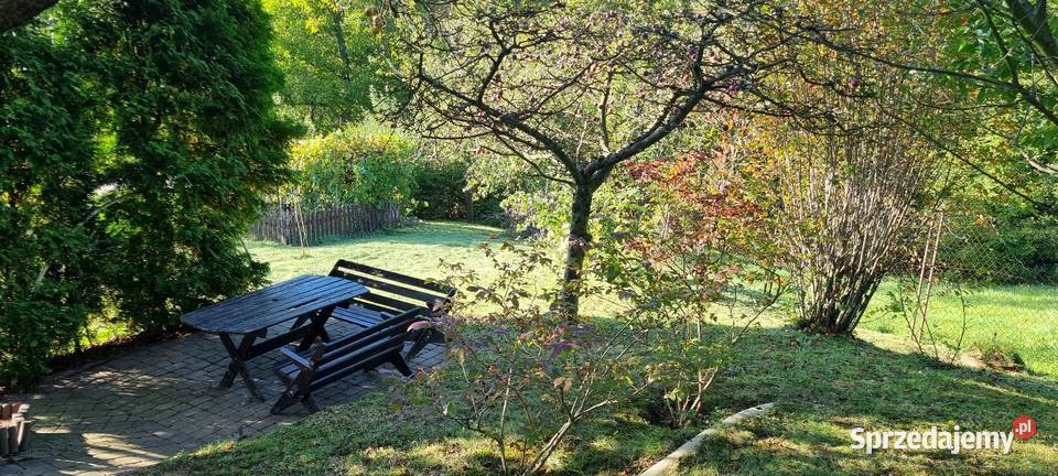 Sprzedam dużą urokliwą skrajną działkę ROD 5 woda Cieszyn