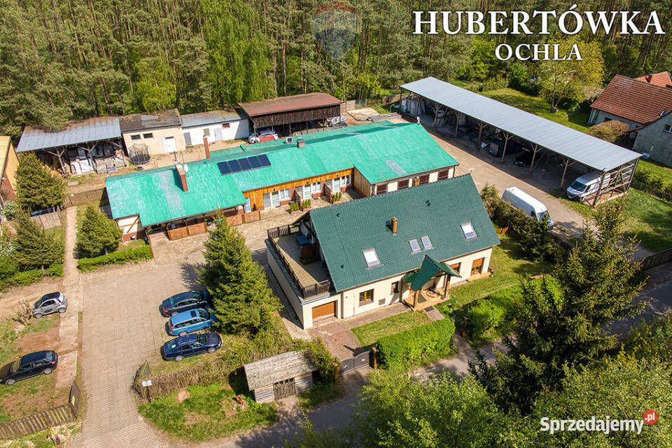 Doskonała okazja koniarzy i nie