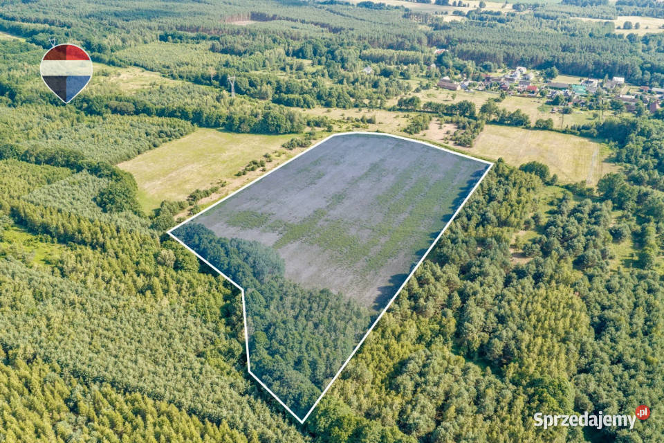 Działka rolna 521 ha w Jarogniewicach lubuskie