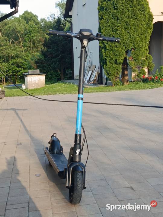 Hulajnoga Frugal Alpha Łęki Dukielskie