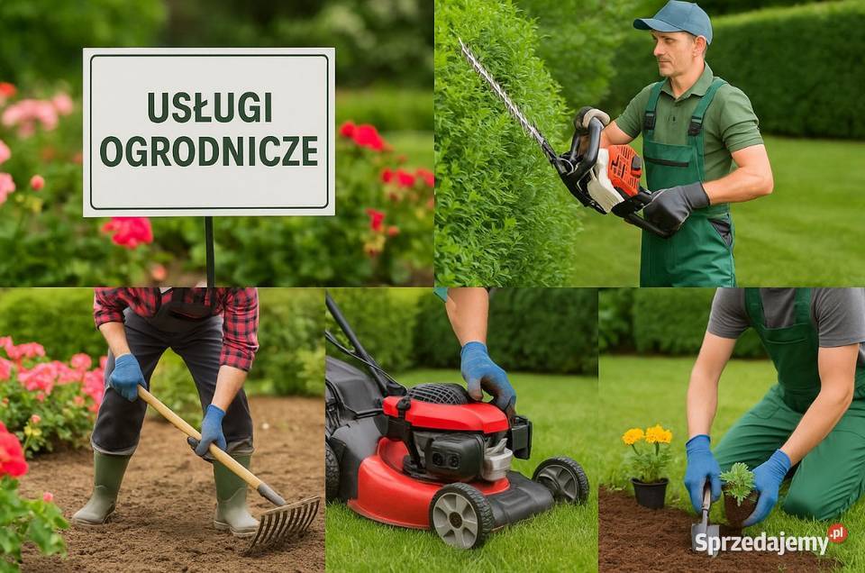 Usługi ogrodnicze Wrocław posprzątanie działki
