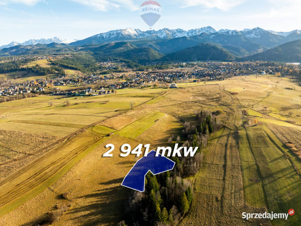 Działka rolna 29ar w Zakopanem Bachledzki Wierch Grunty i działki Zakopane