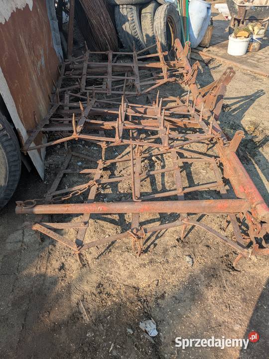 Brony polowe piątki Pozostałe łódzkie Radomsko