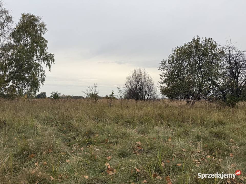 Działka rolna Baranów 5000m2