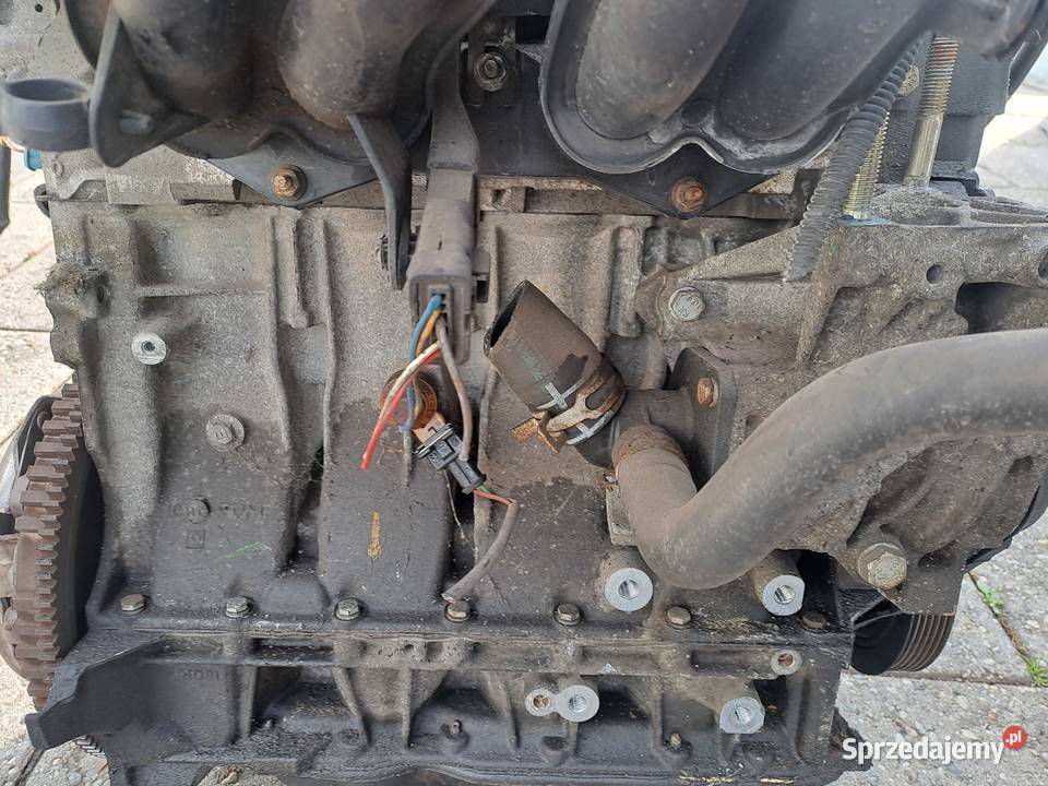 Peugeot 206 14 8V 75 silnik kompletny kod KFW Silniki kompletne śląskie Jastrzębie-Zdrój