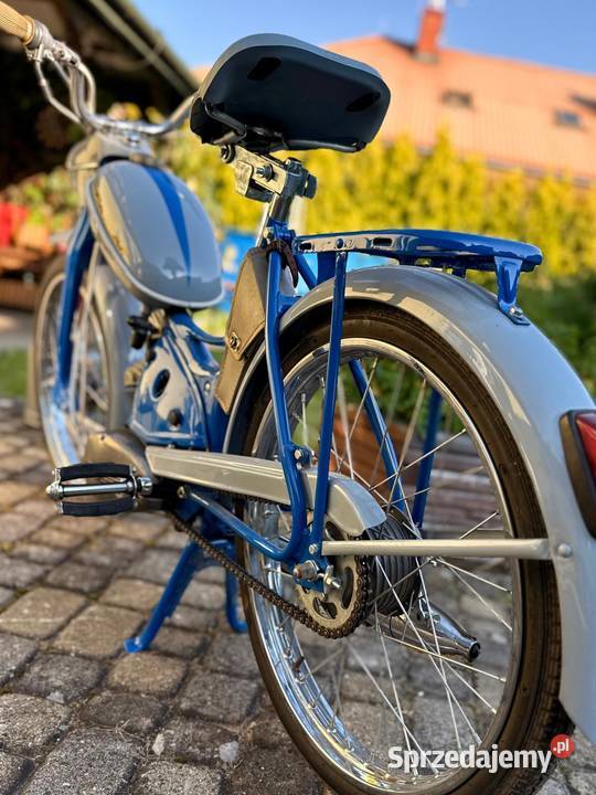 Komar sztywniak 50cm3 Rzeszów