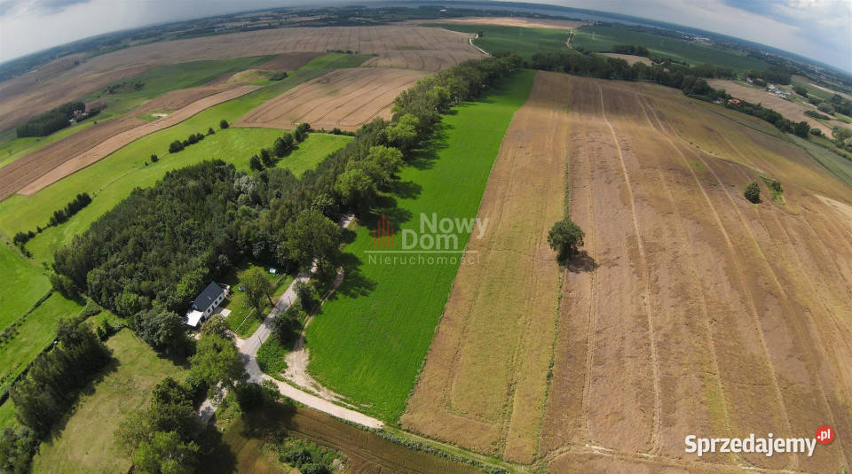 Grunt 4145m2 Kożuchy Wielkie warmińsko-mazurskie