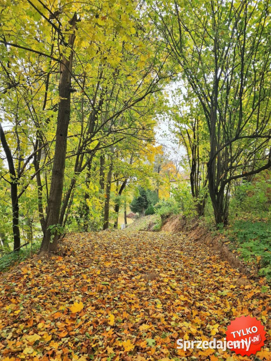 sprzedaży gruntu Wojciechów 2300m2