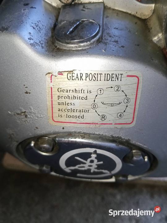 Silnik Bashan 200 chłodzony cieczą Borzęcin sprzedam