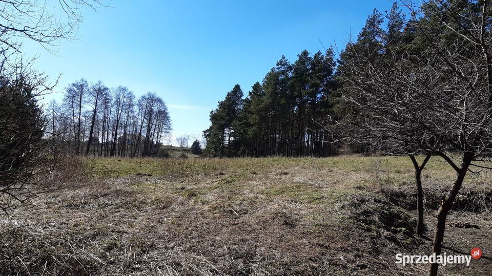 Jezioro Wądzyńskie