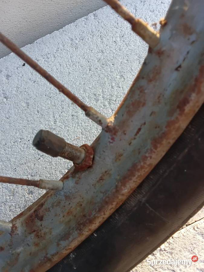 Koło Żak Ryś Milejewo