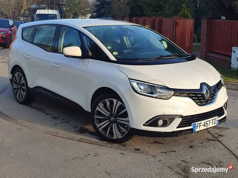 SCENIC IV 17 dCi 7 osób 123000 świętokrzyskie Kielce