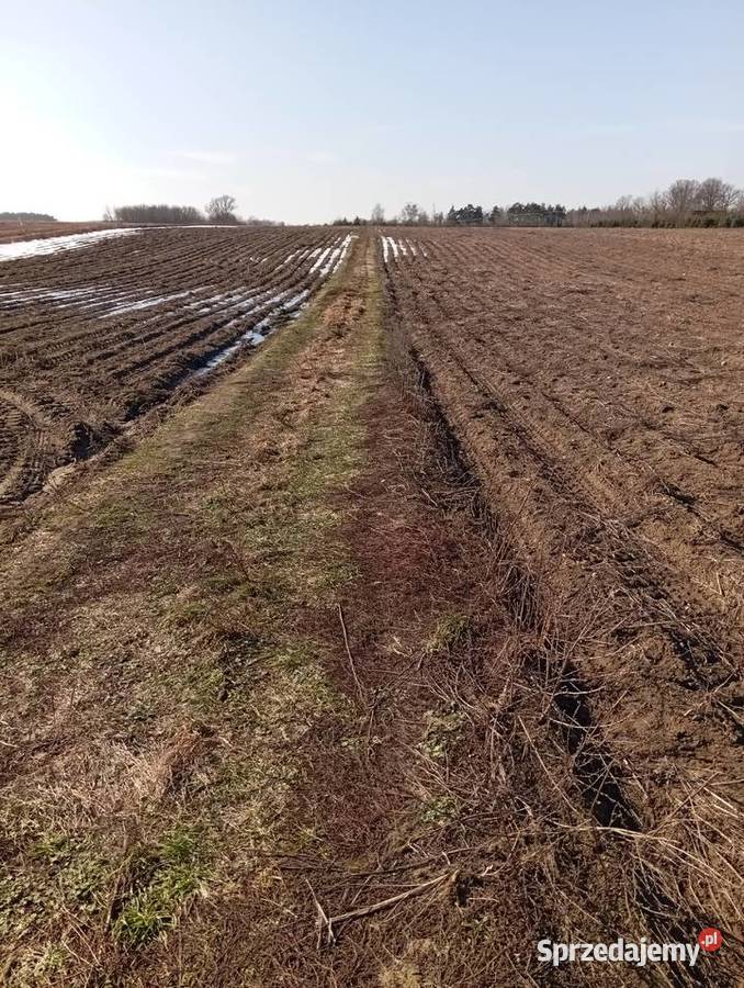 Sprzedam działkę rolną 3000m2 Nowa Wrona