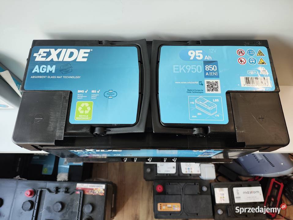 Akumulator Exide EK950 AGM 95Ah 850A StartStop dolnośląskie