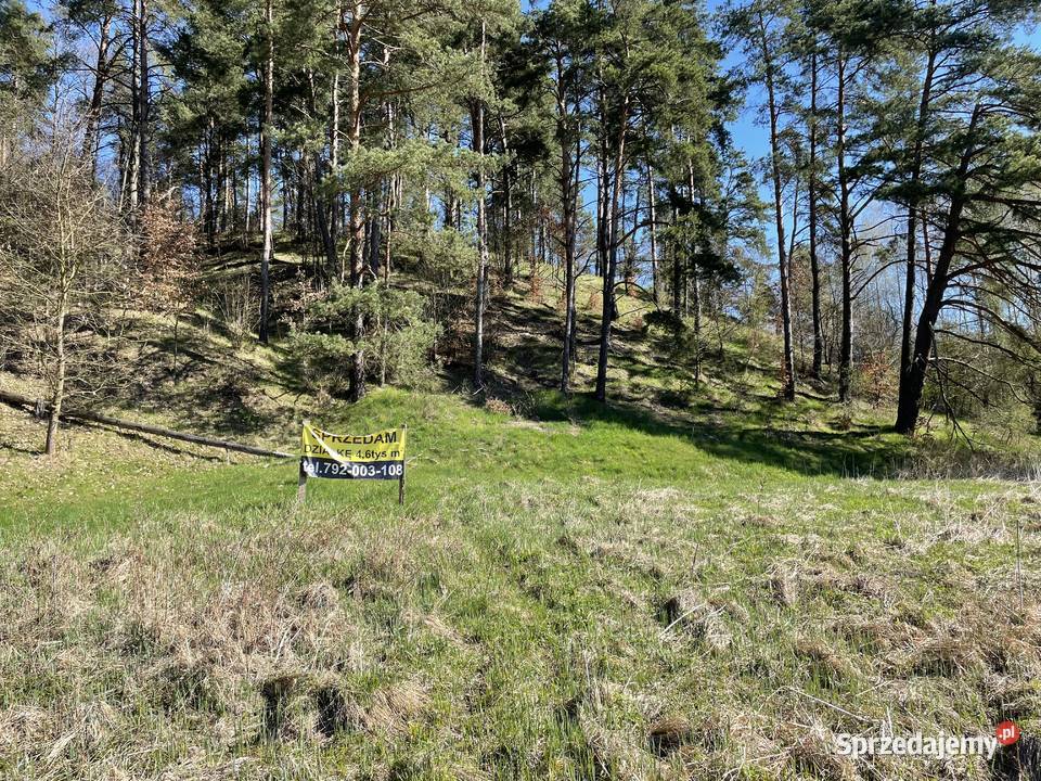 Działka rekreacyjna Bożepole Królewskie 4600 m2 29zł/m2
