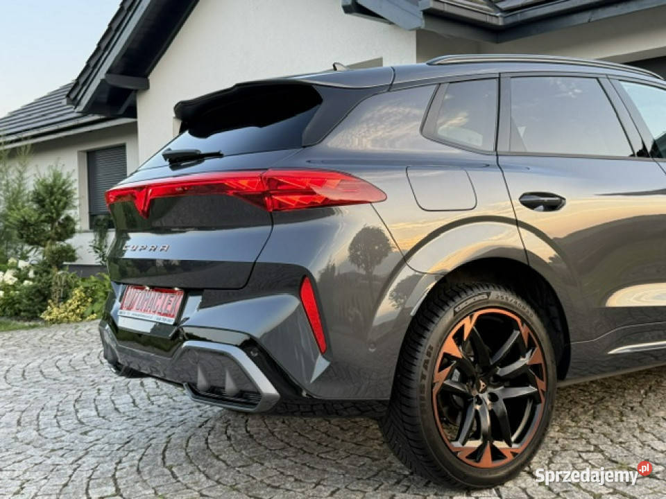 Cupra Terramar garażowany Kamienna Góra