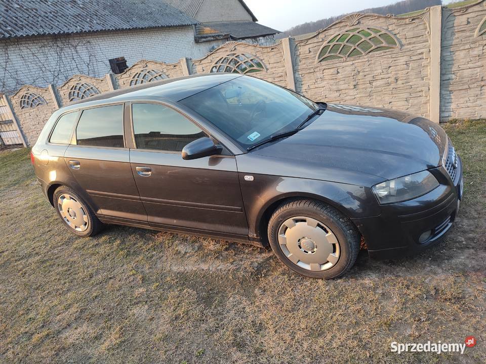 Audi A3 8p hatchback 20 TDI Dudki sprzedam