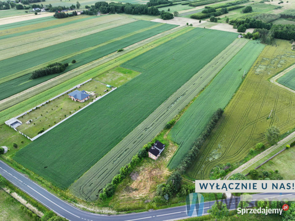 Sprzedaż gruntu Nowa Brzeźnica 16790m2