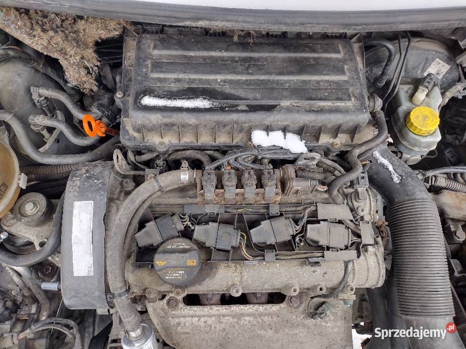 Skoda roomster 14 16v cggb lf8h drzwi lewe prawe dolnośląskie Kłodzko