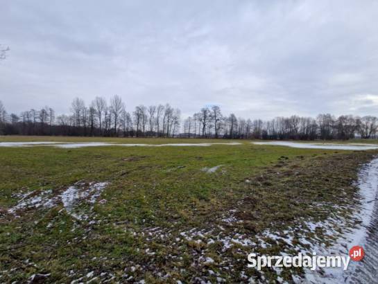 Syndyk sprzeda nieruchomości gruntowe położone w Świątniki