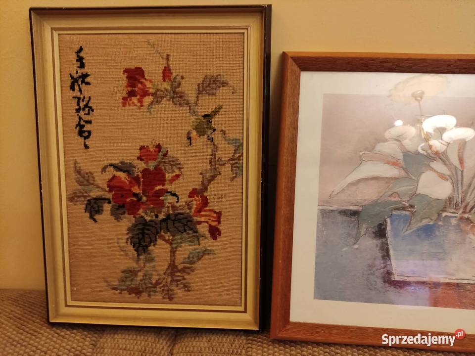 obraz obrazek wyprzedaż kolekcji Gorzów Wielkopolski