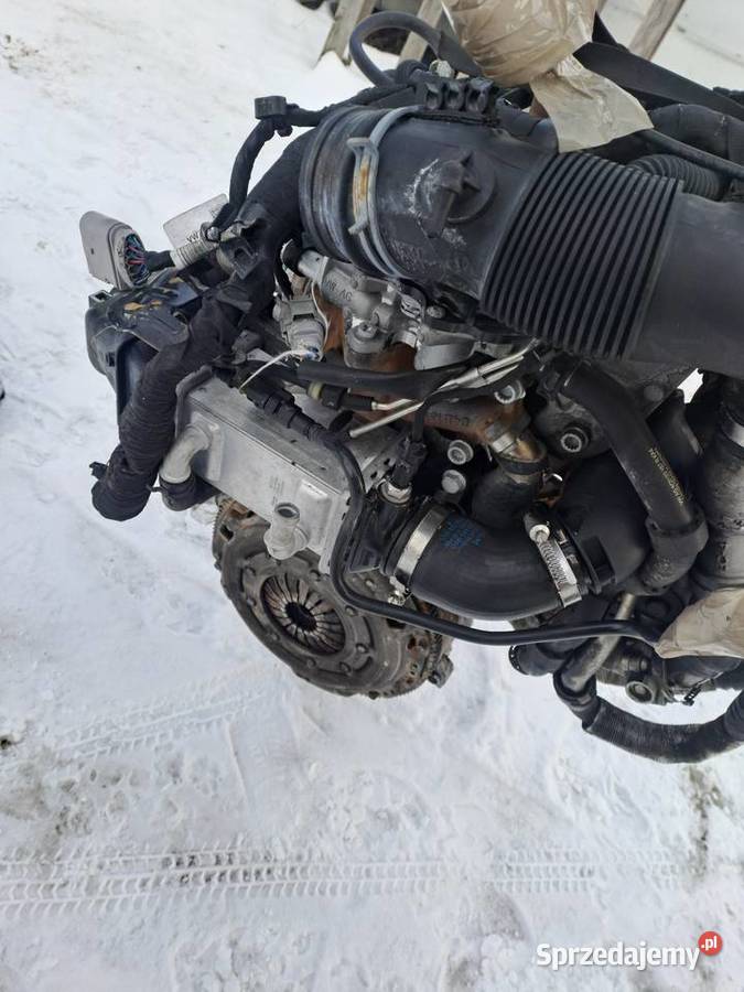 Volkswagen Polo V 6R1 14 TDi 90 silnik kompletny osobowe